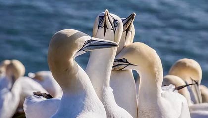 图木舒克最新公积金卡提取方法分析(最方便真实的图木舒克公积金卡提取后还可以继续使用吗方法)