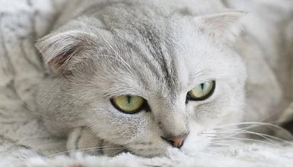 图木舒克最新公积金卡提取现金方法app方法分析(最方便真实的图木舒克公积金卡怎样从手机里取出来?方法)