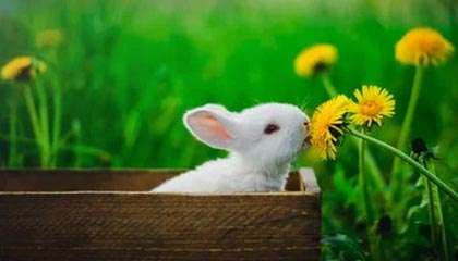 图木舒克最新公积金提取中介联系微信方法分析(最方便真实的图木舒克提取公积金的中介是如何操作的方法)